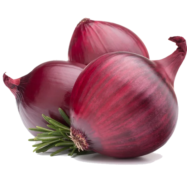 Red Onions with Rosemary PNG Transparent Background
