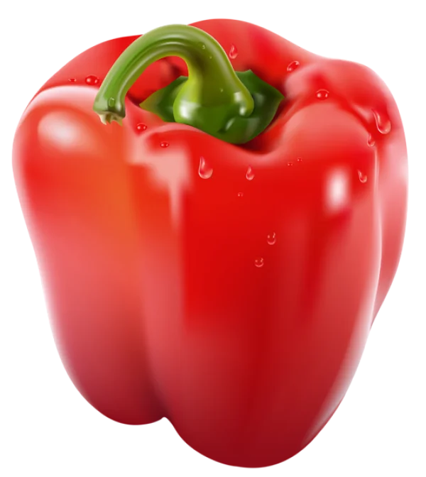 Fresh Red Bell Pepper PNG Transparent Background
