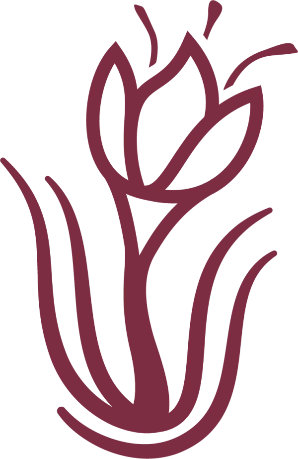 Stylized Maroon Flower Outline PNG