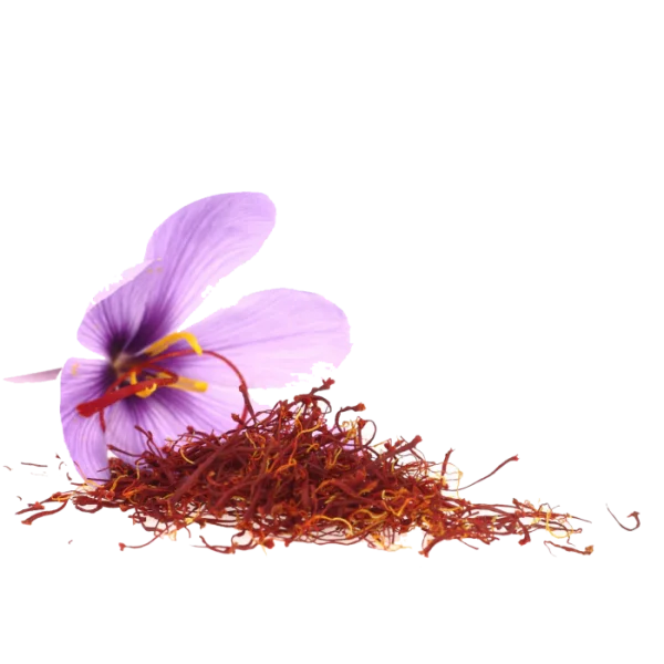 Saffron Flower and Threads PNG Transparent