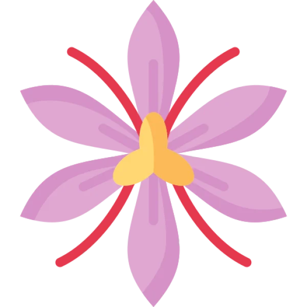 Purple Orchid Flower Icon PNG