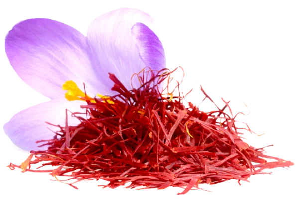 Saffron Flower and Threads PNG Transparent Background
