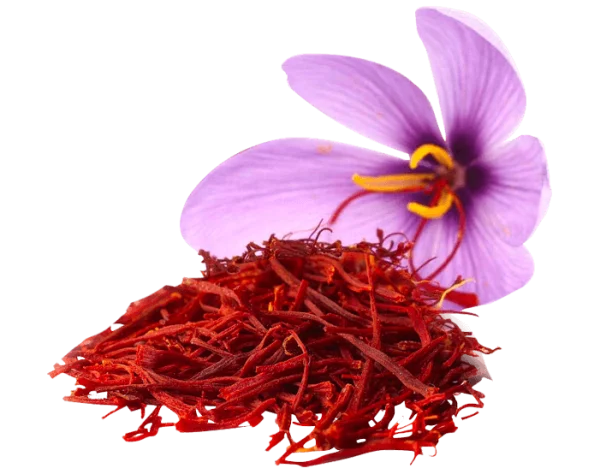 Saffron Flower and Threads PNG Transparent Background