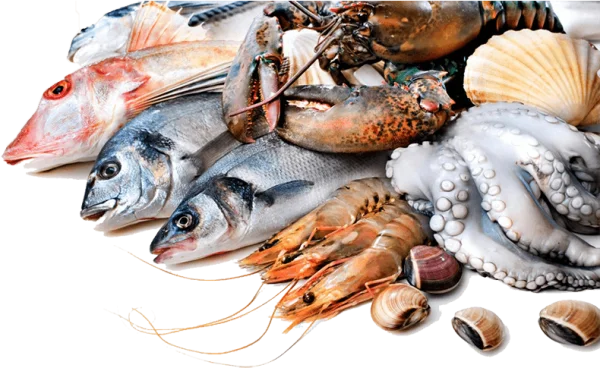 Fresh Seafood Assortment PNG Transparent Background