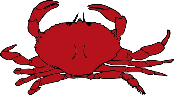 Red Crab Clipart PNG Transparent Background