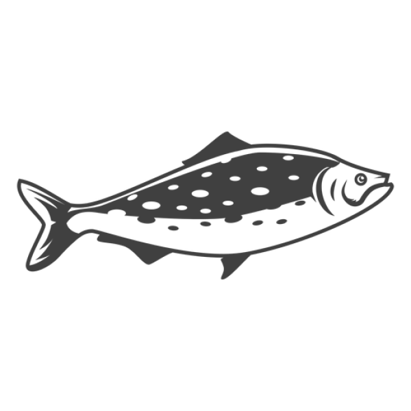Stylized Fish PNG Transparent Background
