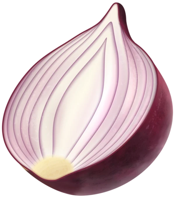 Red Onion Half PNG Transparent Background