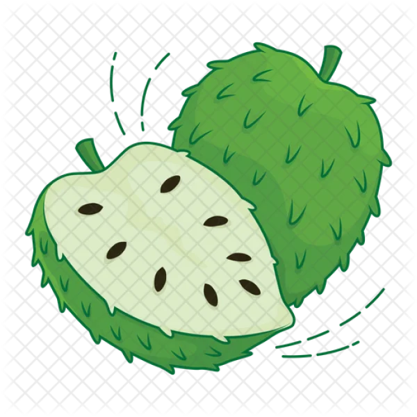 Soursop Fruit Whole and Cut PNG Transparent Background