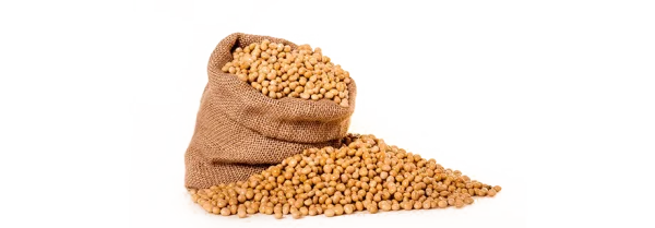 Soybeans in Burlap Sack PNG Transparent Background