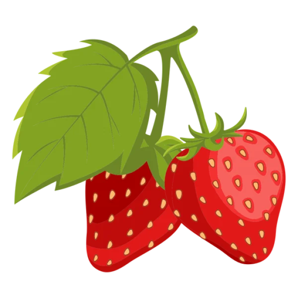 Two Fresh Strawberries with Leaf PNG Transparent Background
