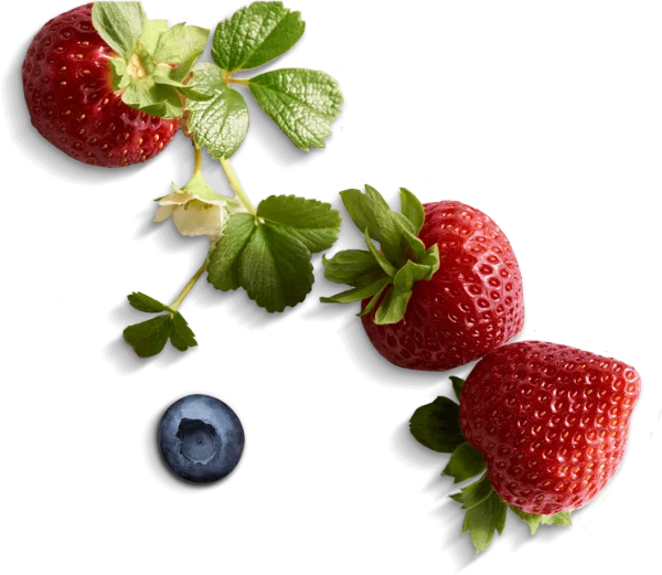 Fresh Strawberries and Blueberry PNG Transparent Background