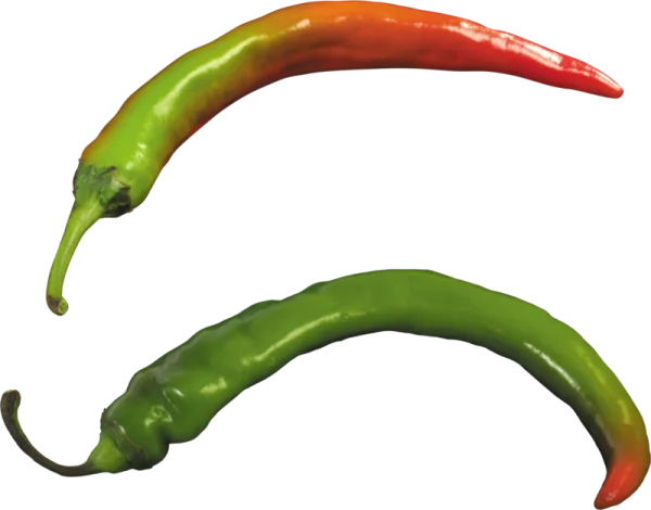 Two Green and Red Chili Peppers PNG Transparent Background
