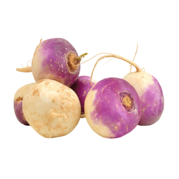 Fresh Turnips PNG Transparent Background