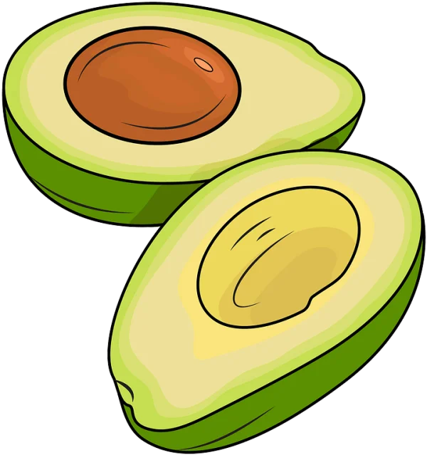 Avocado Halves PNG Transparent Background