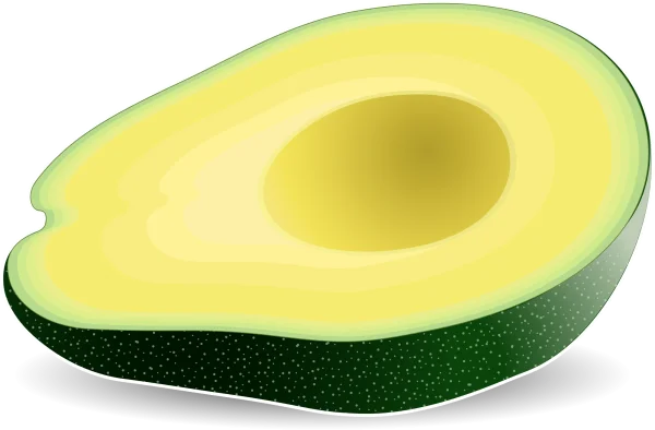 Avocado Half PNG Transparent Background
