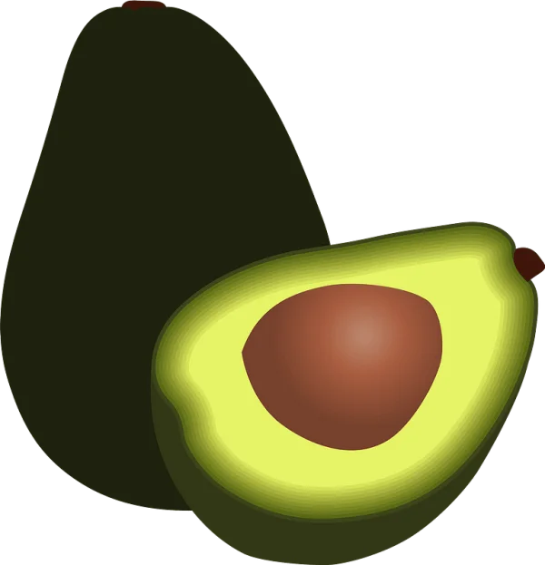 Fresh Avocado Whole and Half PNG Transparent Background