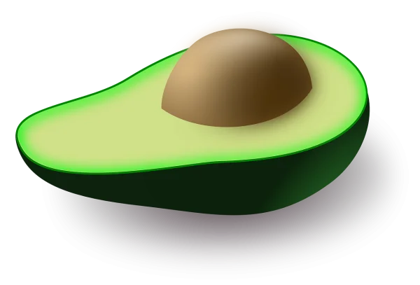 Half Avocado with Pit PNG Transparent Background