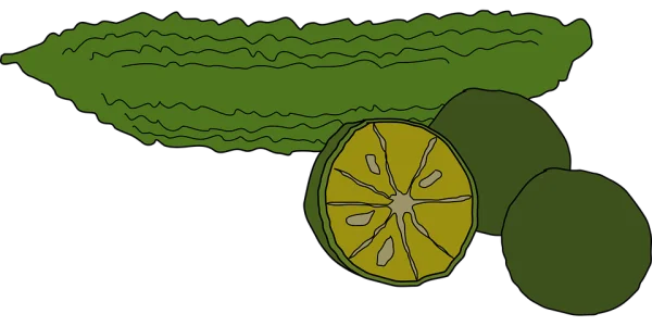 Bitter Melon and Limes PNG Transparent Background