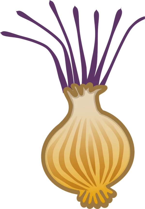 Stylized Onion with Purple Sprouts PNG Transparent Background