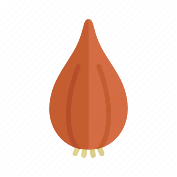 Onion Icon Transparent Background