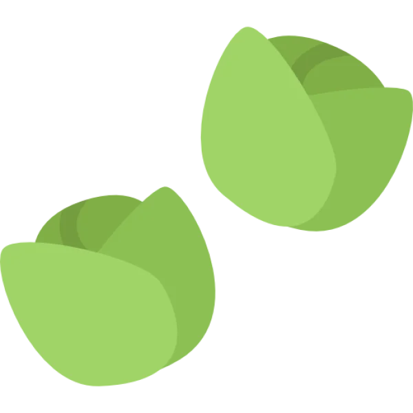Two Green Cabbages Transparent PNG