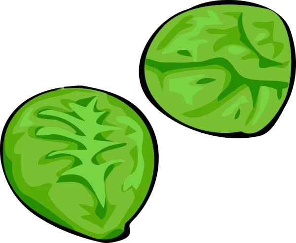 Cartoon Green Lime Slices PNG Transparent