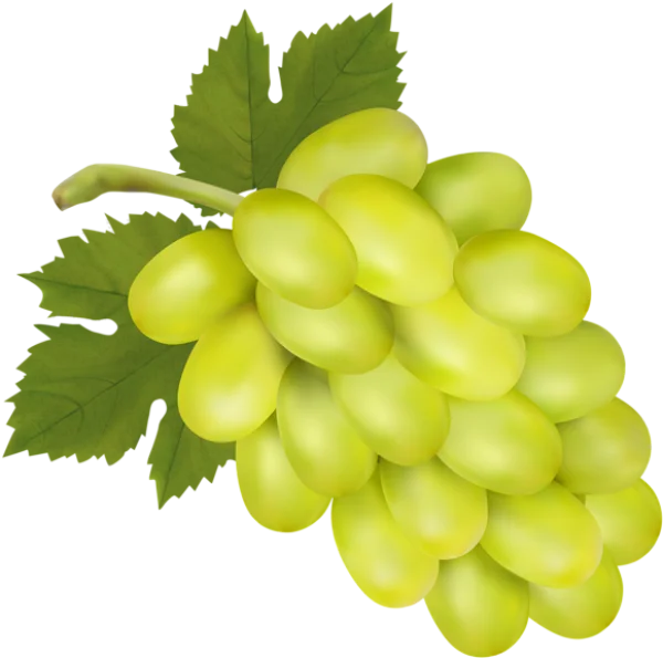 Green Grapes Bunch PNG Transparent Background