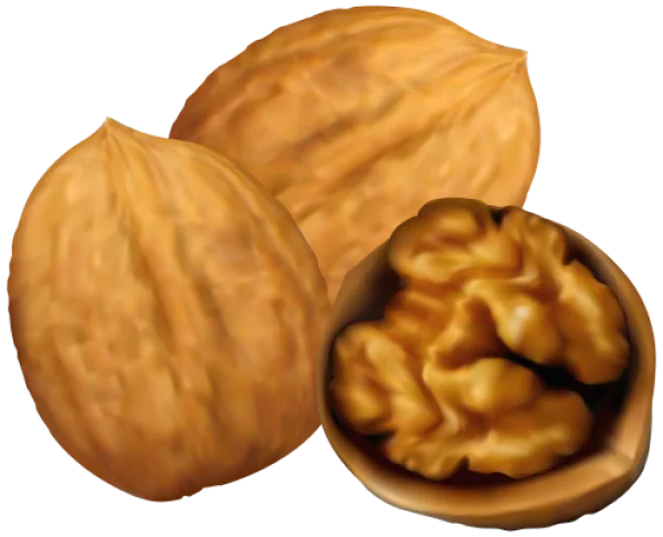 Realistic Walnuts Transparent Background PNG