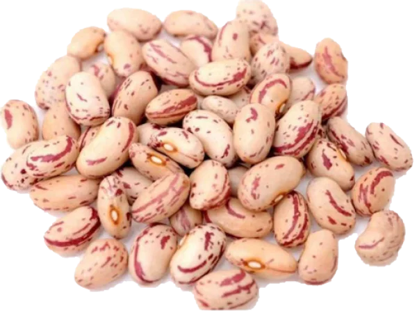 Pinto Beans PNG Transparent Background