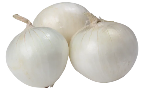 White Onions PNG Transparent Background