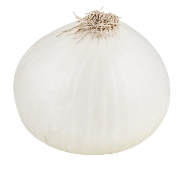 White Onion PNG Transparent Background
