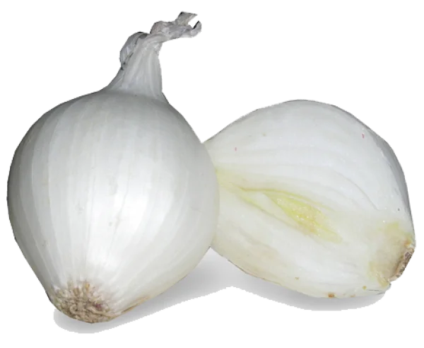 White Onion Whole and Halved PNG Transparent