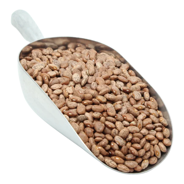 Pinto Beans in Metal Scoop PNG Transparent Background