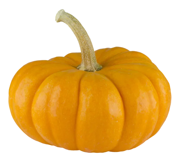 Mini Orange Pumpkin PNG Transparent Background