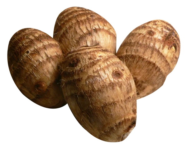 Taro Roots PNG Transparent Background