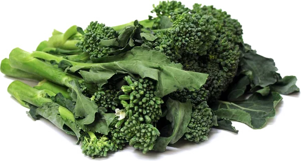 Fresh Broccolini PNG Transparent Background