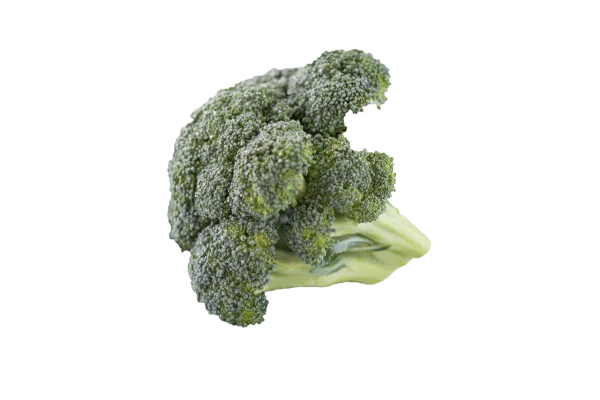Fresh Green Broccoli Florets PNG Transparent Background