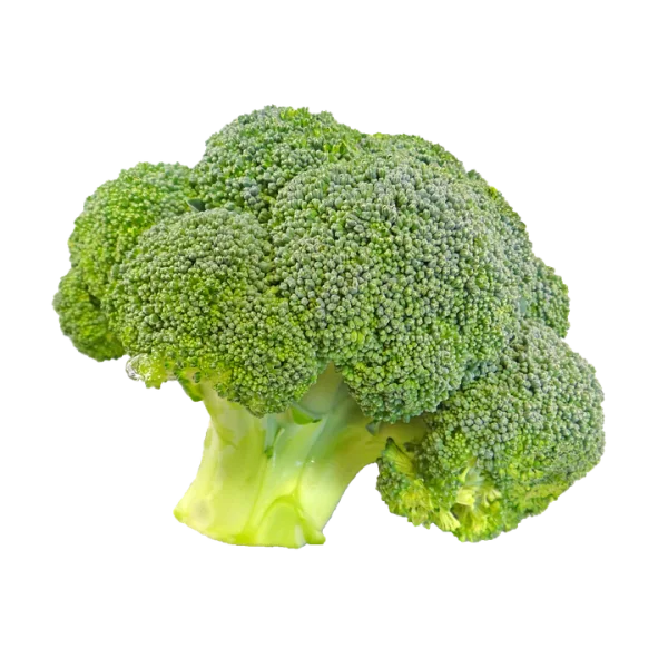 Fresh Green Broccoli PNG Transparent Background
