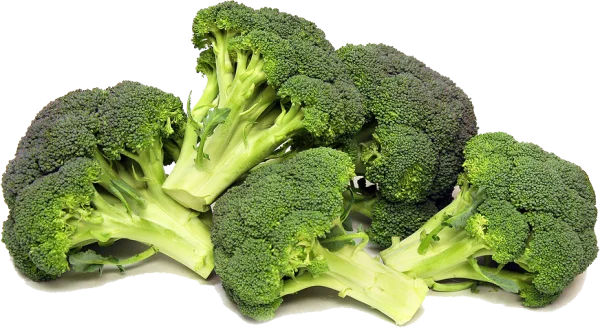 Fresh Broccoli PNG Transparent Background