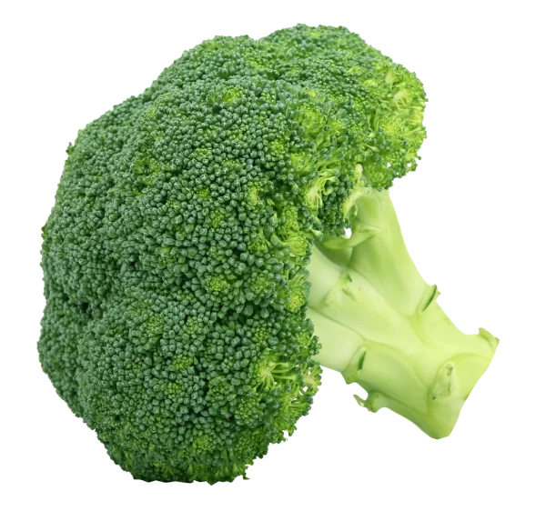 Fresh Broccoli PNG Transparent Background