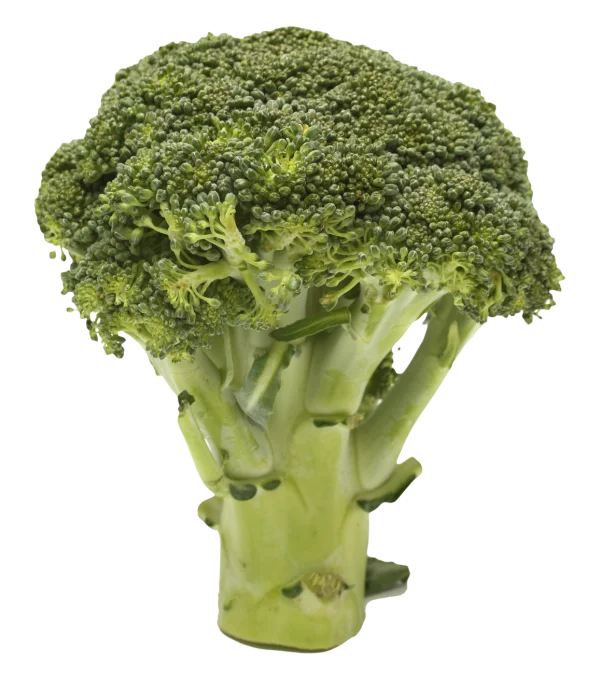 Fresh Broccoli Head PNG Transparent Background