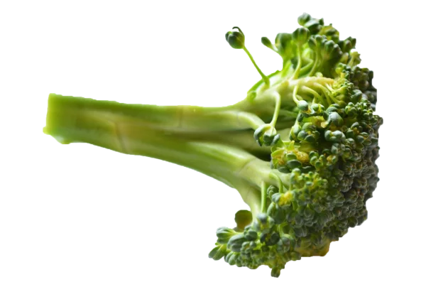 Fresh Broccoli Florette PNG Transparent Background
