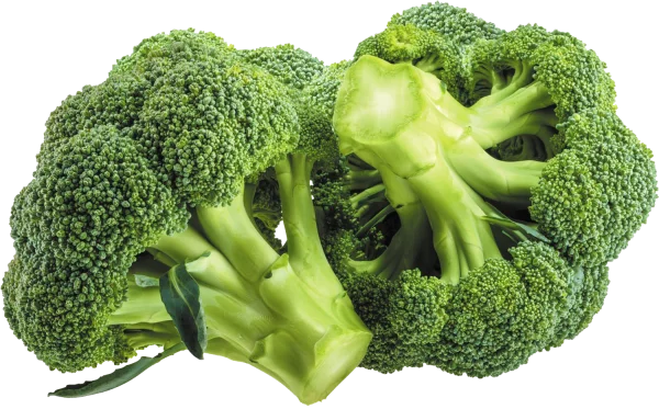 Fresh Broccoli Florets PNG Transparent Background