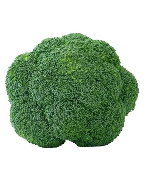 Fresh Green Broccoli Head PNG Transparent Background