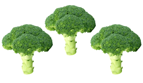 Three Fresh Broccoli Florets PNG Transparent