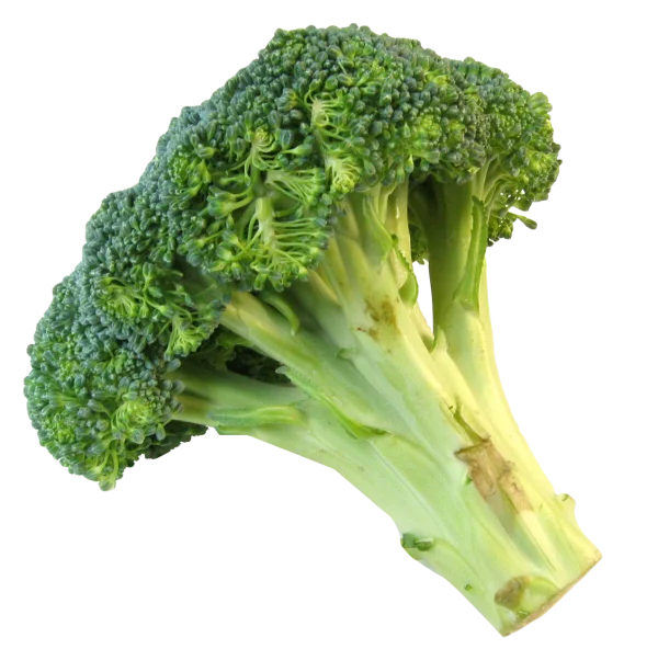 Fresh Broccoli PNG Transparent Background