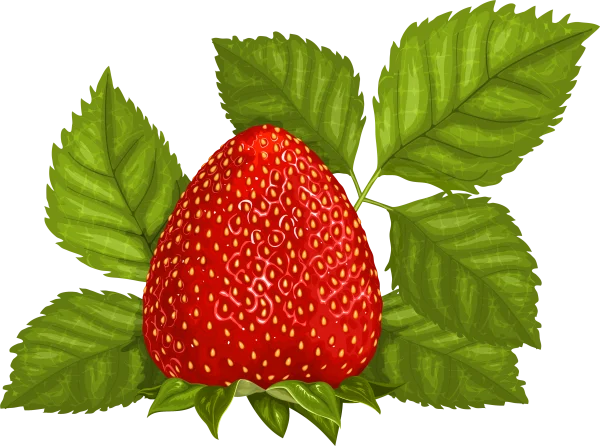 Ripe Strawberry with Green Leaves PNG