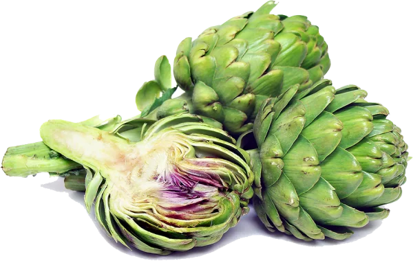 Fresh Artichokes PNG Transparent Background