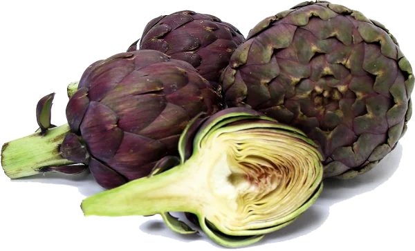 Fresh Purple Artichokes PNG Transparent Background