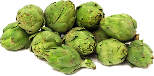 Fresh Green Artichokes PNG Transparent Background